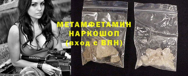 мет Алексин