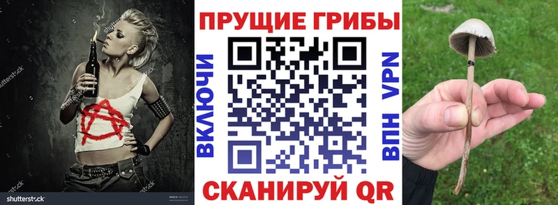 Псилоцибиновые грибы ЛСД  Котово 